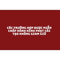 Các trường hợp được miễn chấp hành hình phạt cải tạo không giam giữ