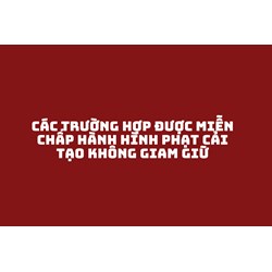 Các trường hợp được miễn chấp hành hình phạt cải tạo không giam giữ