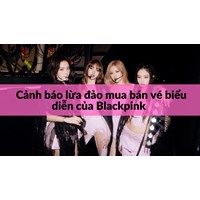 Cảnh báo lừa đảo mua bán vé biểu diễn của Blackpink