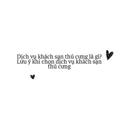 Dịch vụ khách sạn thú cưng là gì? Lưu ý khi chọn dịch vụ khách sạn thú cưng