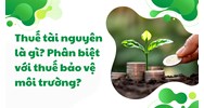 Thuế tài nguyên là gì? Phân biệt với thuế bảo vệ môi trường?