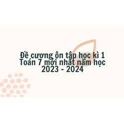 Đề cương ôn tập học kì 1 Toán lớp 7 chọn lọc mới nhất