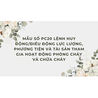 Mẫu số PC20 Lệnh huy động/điều động lực lượng, phương tiện và tài sản tham gia hoạt động phòng cháy và chữa cháy