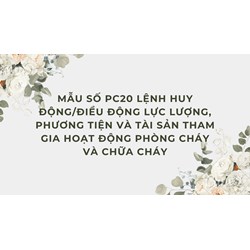 Mẫu số PC20 Lệnh huy động/điều động lực lượng, phương tiện và tài sản tham gia hoạt động phòng cháy và chữa cháy