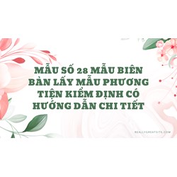 Mẫu số 28 Mẫu biên bản lấy mẫu phương tiện kiểm định có hướng dẫn chi tiết