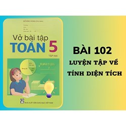 Vở bài tập Toán lớp 5 bài 102 Luyện tập về tính diện tích có đáp án