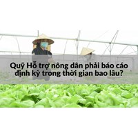 Quỹ Hỗ trợ nông dân phải báo cáo định kỳ trong thời gian bao lâu?