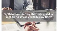 Dự thầu theo phương thức một giai đoạn một túi hồ sơ cần chuẩn bị giấy tờ gì?