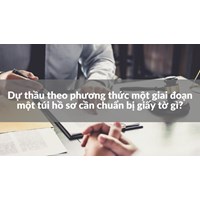Dự thầu theo phương thức một giai đoạn một túi hồ sơ cần chuẩn bị giấy tờ gì?
