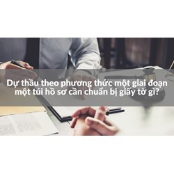 Dự thầu theo phương thức một giai đoạn một túi hồ sơ cần chuẩn bị giấy tờ gì?