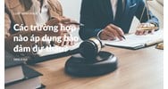 Các trường hợp nào áp dụng bảo đảm dự thầu?