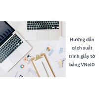 Hướng dẫn cách xuất trình giấy tờ bằng VNeID