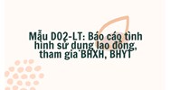 Mẫu Báo cáo tình hình sử dụng lao động, tham gia BHXH, BHYT (Mẫu D02-LT)