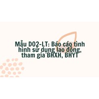 Mẫu Báo cáo tình hình sử dụng lao động, tham gia BHXH, BHYT (Mẫu D02-LT)