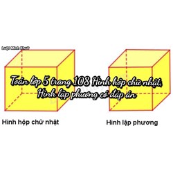 Toán lớp 5 trang 108 Hình hộp chữ nhật, Hình lập phương có đáp án
