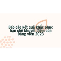 Báo cáo kết quả khắc phục hạn chế khuyết điểm của Đảng viên 2025