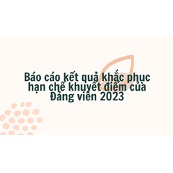 Báo cáo kết quả khắc phục hạn chế khuyết điểm của Đảng viên 2025