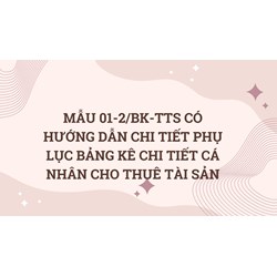 Mẫu 01-2/BK-TTS có hướng dẫn chi tiết Phụ lục bảng kê chi ti t cá nhân cho thuê tài sản
