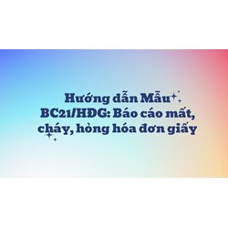 Hướng dẫn Mẫu BC21/HĐG: Báo cáo mất, cháy, hỏng hóa đơn giấy