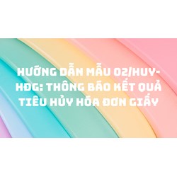 Hướng dẫn Mẫu 02/HUY-HĐG: Thông báo kết quả tiêu hủy hóa đơn giấy