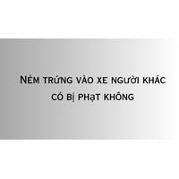 Ném trứng vào xe người khác có bị phạt không