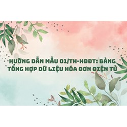 Hướng dẫn Mẫu 01/TH-HĐĐT: Bảng tổng hợp dữ liệu hóa đơn điện tử