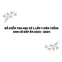 Đề kiểm tra học kì 1 môn tiếng Anh lớp 7 có đáp án