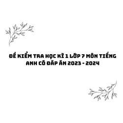 Đề kiểm tra học kì 1 môn tiếng Anh lớp 7 có đáp án