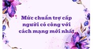 Mức chuẩn trợ cấp người có công với cách mạng mới nhất