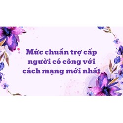 Mức chuẩn trợ cấp người có công với cách mạng mới nhất