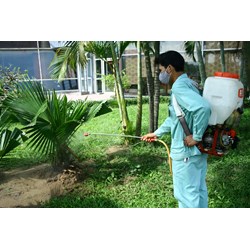Điều kiện kinh doanh hóa chất, chế phẩm diệt côn trùng, diệt khuẩn dùng trong lĩnh vực gia dụng y tế