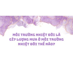 Môi trường nhiệt đới là gì? Lượng mưa ở môi trường nhiệt đới thế nào?