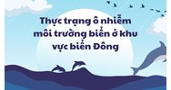 Thực trạng ô nhiễm môi trường biển ở khu vực biển Đông