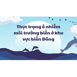 Thực trạng ô nhiễm môi trường biển ở khu vực biển Đông
