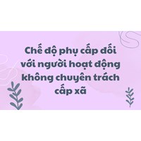 Chế độ phụ cấp đối với người hoạt động không chuyên trách cấp xã
