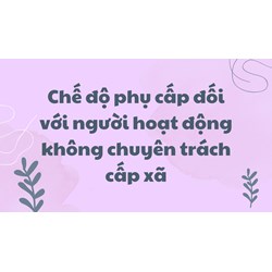Chế độ phụ cấp đối với người hoạt động không chuyên trách cấp xã