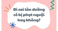 Đi sai làn đường có bị phạt nguội hay không?