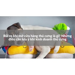 Rủi ro khi mở cửa hàng thú cưng là gì? Những điều cần lưu ý khi kinh doanh thú cưng