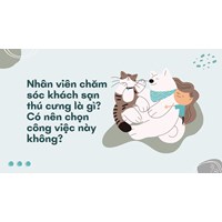 Nhân viên chăm sóc khách sạn thú cưng là gì? Có nên chọn công việc này không?