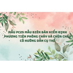 Mẫu PC25 Mẫu Biên bản kiểm định phương tiện phòng cháy và chữa cháy có hướng dẫn cụ thể