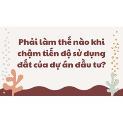 Phải làm thế nào khi chậm tiến độ sử dụng đất của dự án đầu tư?
