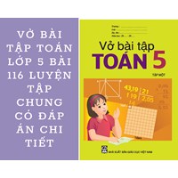 Vở bài tập Toán lớp 5 bài 116 Luyện tập chung có đáp án chi tiết