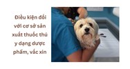Điều kiện đối với cơ sở sản xuất thuốc thú y dạng dược phẩm, vắc xin