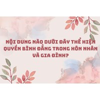 Nội dung nào dưới đây thể hiện quyền bình đẳng trong hôn nhân và gia đình?