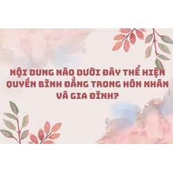 Nội dung nào dưới đây thể hiện quyền bình đẳng trong hôn nhân và gia đình?