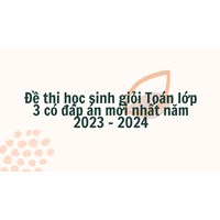 Đề thi học sinh giỏi Toán lớp 3 có đáp án đầy đủ, chi tiết