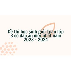 Đề thi học sinh giỏi Toán lớp 3 có đáp án đầy đủ, chi tiết