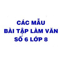 Bài văn mẫu Lớp 8: Bài viết số 6 Đề 1 đến Đề 3 Chọn lọc hay nhất
