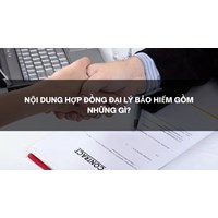 Nội dung hợp đồng đại lý bảo hiểm gồm những gì?