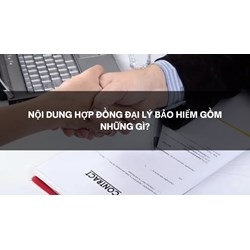 Nội dung hợp đồng đại lý bảo hiểm gồm những gì?